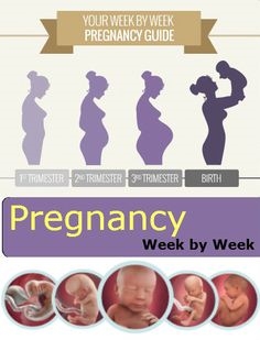Vývoj plodu a pocit ženy v týždni tehotenstva