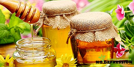 Hoeveel calorieën zitten er in een lepel en 100 gram honing?