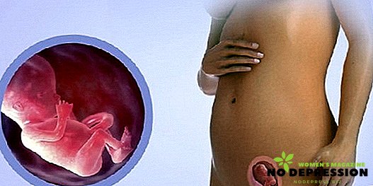 Hva skjer i den 13. uken av graviditeten fra unnfangelsen
