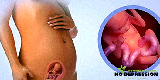 Hva skjer i den 14. uken av graviditeten med babyen og moren