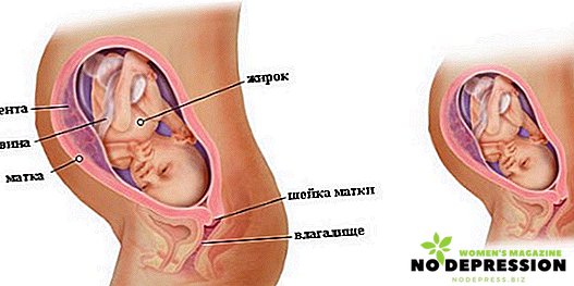 Čo sa stane v 30. týždni tehotenstva s dieťaťom a nastávajúcou matkou