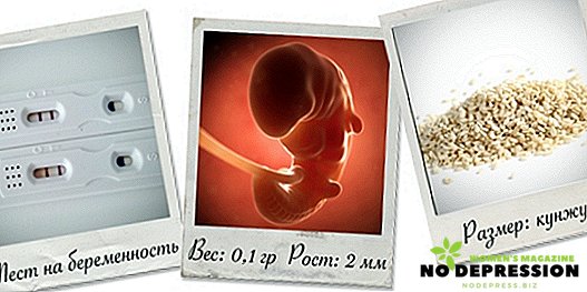 5週間の妊娠中に女性と赤ちゃんの体に何が起こるか