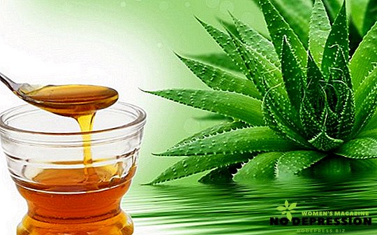 Aloe e mel: benefícios e contra-indicações para o corpo humano