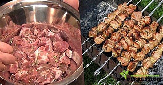 Snelle marinades voor varkensvlees kebab voor elke smaak