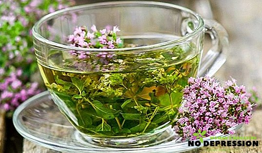 Thyme te - fordelene ved drikke og madlavning opskrifter