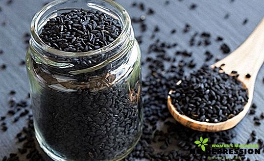 Kako je crni kumin koristan i kako ga pravilno koristiti za zdravlje