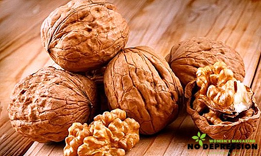 How is walnut useful for human body?