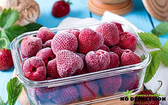 Quatre options pour congeler les fraises avec du sucre pour l'hiver