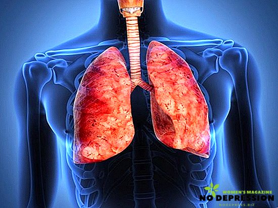Was ist Fibrose der Lunge, der Bauchspeicheldrüse, der Leber?