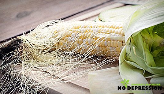 Cosa sono la seta di mais e come sono sani?