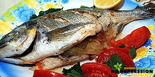 Homemade recipes for cooking delicious baked fish in the oven