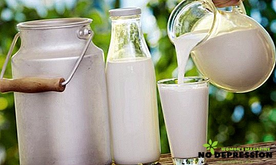 Hemlagad mjölkost: Läckra recept