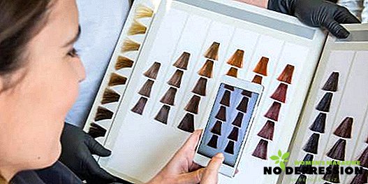 Farbenie vlasov Garnier: typy, pestrá paleta farieb, výhody