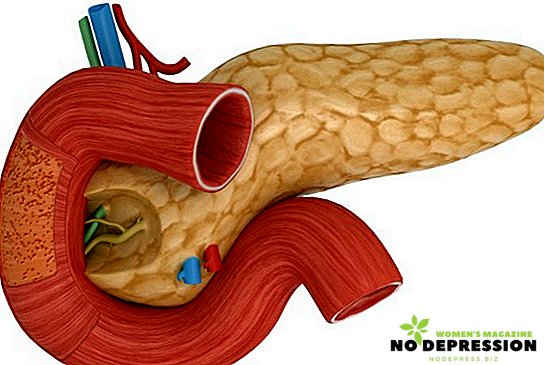 Var är bukspottkörteln i en person och vad är dess funktioner