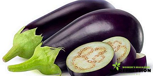 Kook aubergine gerechten snel en smakelijk