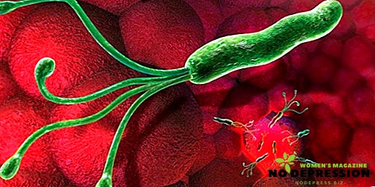 Helicobacter pylori: symptoms of infection, treatment methods for children and adults
