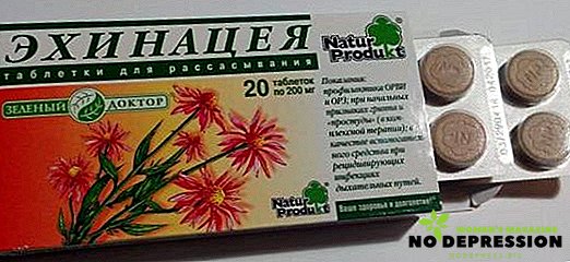 Instruções para uso de comprimidos de Echinacea