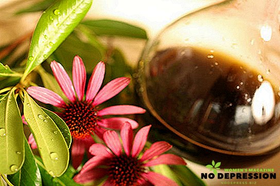 Instructions for use of echinacea tincture