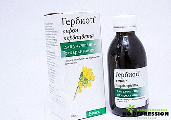 薬Gerbionドライ咳の使用説明書