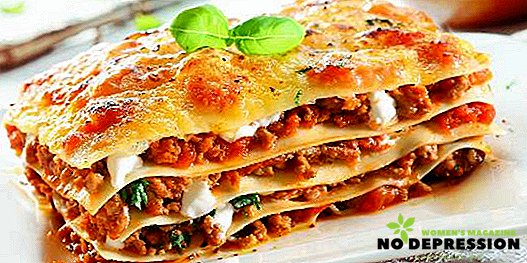 Italiensk lasagne: recept och matlagning hemligheter hemma