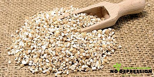 Kaj žita proizvajajo ječmenovimi zrna: sestava, vsebnost kalorij in koristi
