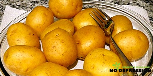 Hur man snabbt och enkelt lagar potatis i mikrovågsugnen