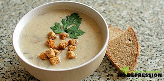 Kako hitro in okusno kuhamo sirno kremno juho