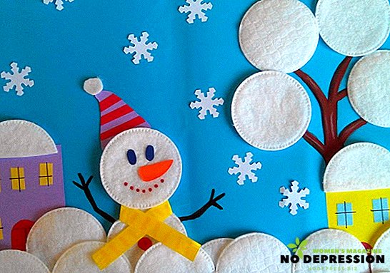 How to make crafts from wadded disks do it yourself for the New Year