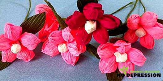 Kako narediti preproste in lepe papirne rože z lastnimi rokami