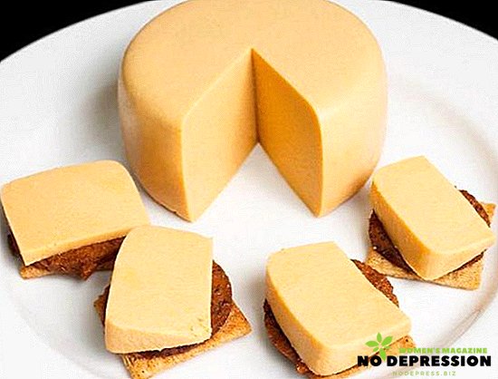 كيفية صنع الجبن الصلب من الجبن والحليب في المنزل