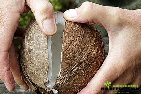 Como você pode abrir um coco em casa?