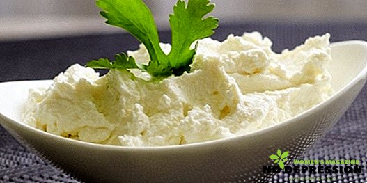 Hur kan du göra en utsökt kefirost ost hemma