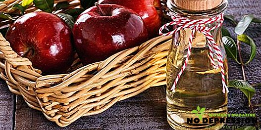 Hvordan drikke eple cider eddik for vekttap