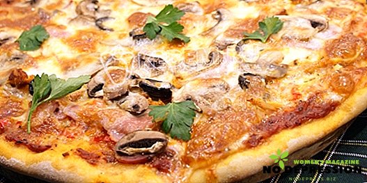 Miten kokki taikina kotitekoiseen pizzaan