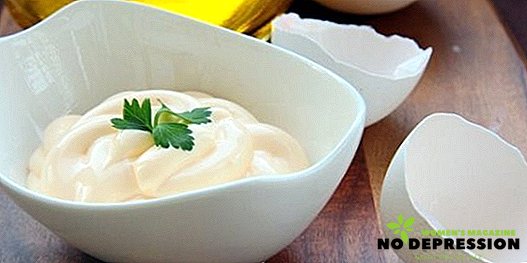 How to make mayonnaise at home in a blender