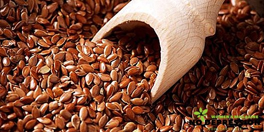 Como usar sementes de linho para a saúde e perda de peso
