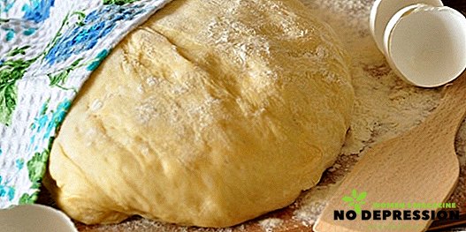 How to knead the dough for fried pies