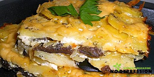 Cách nấu thịt hầm khoai tây với nấm trong lò và nồi nấu chậm