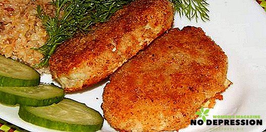 Wie man Fleischbällchen und andere Gerichte mit gehacktem Fisch zubereitet
