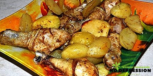 Kip met aardappelen koken in de hoes