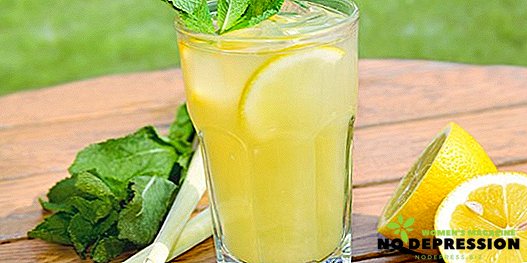 Kako narediti limonado z meto in limono doma