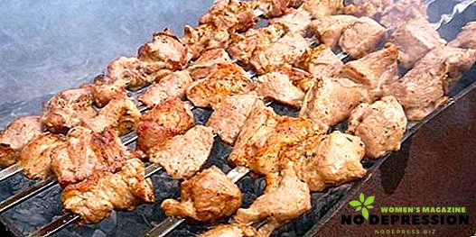 Cách nấu nước xốt với kefir cho thịt lợn kebab