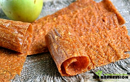 How to make apple pastille at home