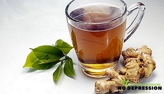 Kako napraviti zdrav čaj s đumbirom