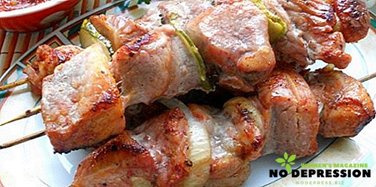Kako kuhati svinjski kebab v pečici