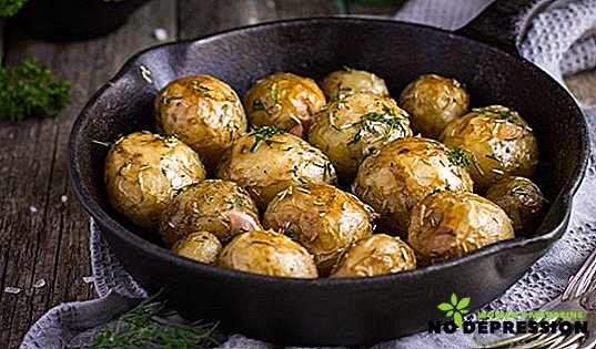 Wie einfach und lecker Kartoffeln im Ofen backen