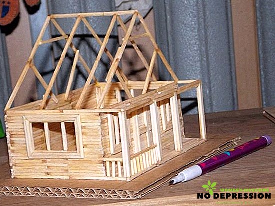 How to make a house out of matches with your own hands with and without glue