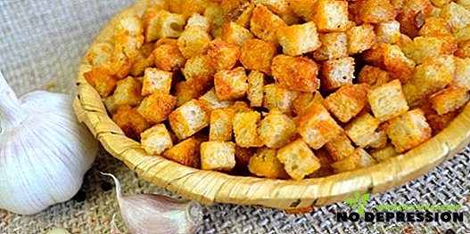 Hoe maak je zelfgemaakte croutons van brood en brood in de oven