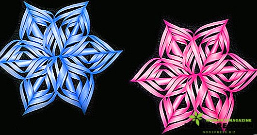 How to make a beautiful volume snowflake out of paper: a phased description