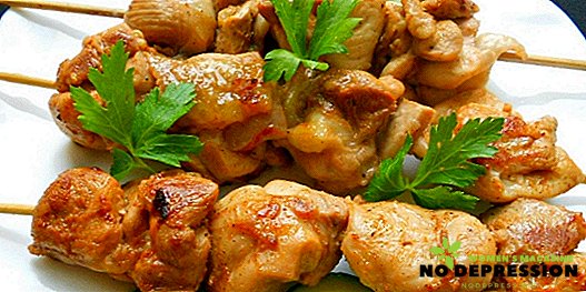 ओवन में एक नरम, रसदार और स्वादिष्ट चिकन कटार कैसे बनाएं